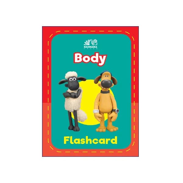 Body Flashcard