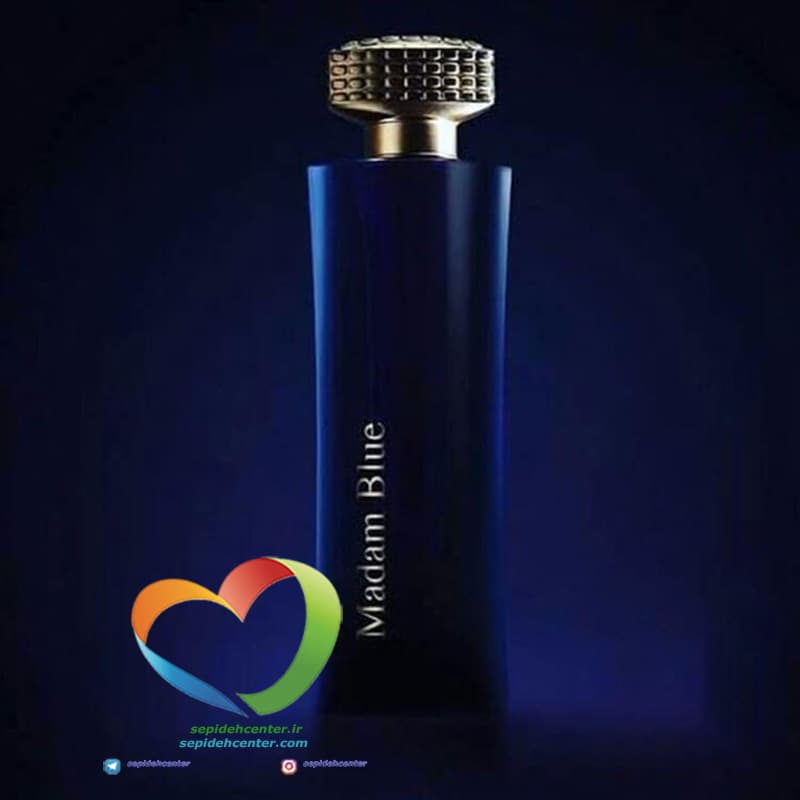 ادوپرفیوم زنانه مارک جوزف مدل الیزه مادام بلو Marc Joseph Parfum Madam Blue حجم 100 میل — تصویر ۳