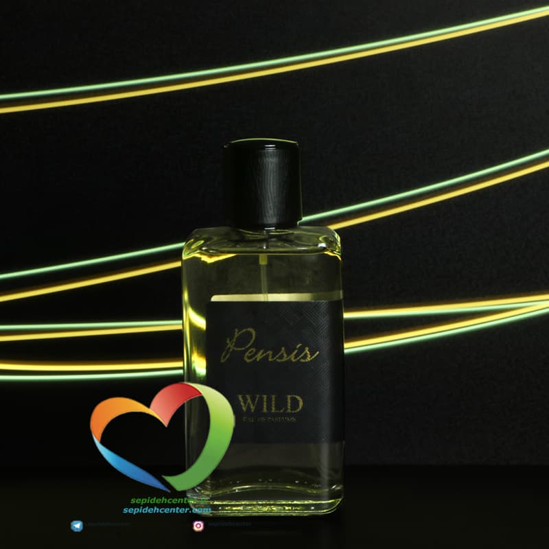 ادوپرفیوم مردانه پنسیس مدل Pensis Men’s Eau de Parfum Wild حجم 100 میل — تصویر ۳