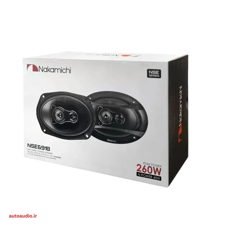 باند بیضی ناکامیچی Nakamichi NSE6918 — تصویر ۲