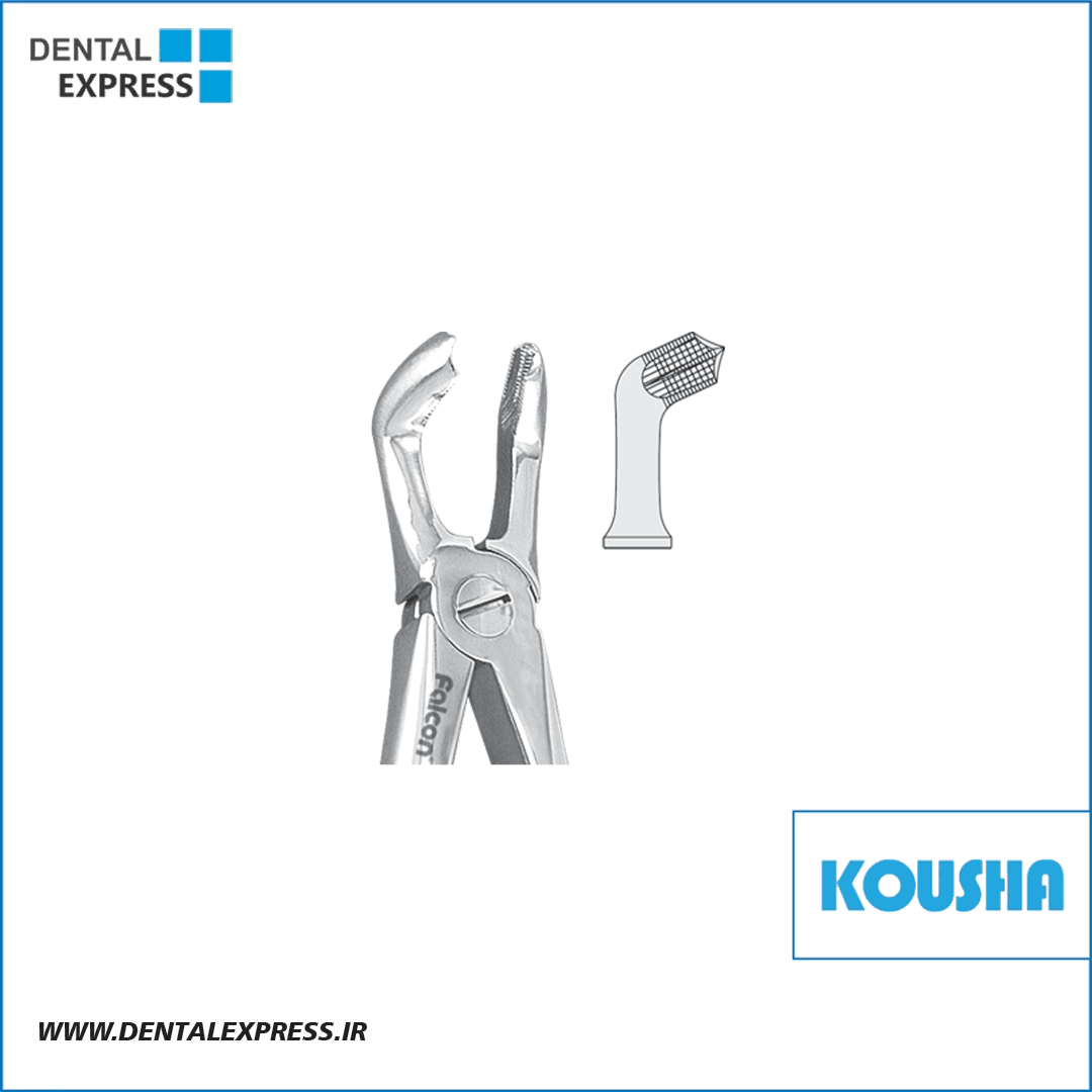 عقل پايين fig:٧٩ کوشا – Kousha
