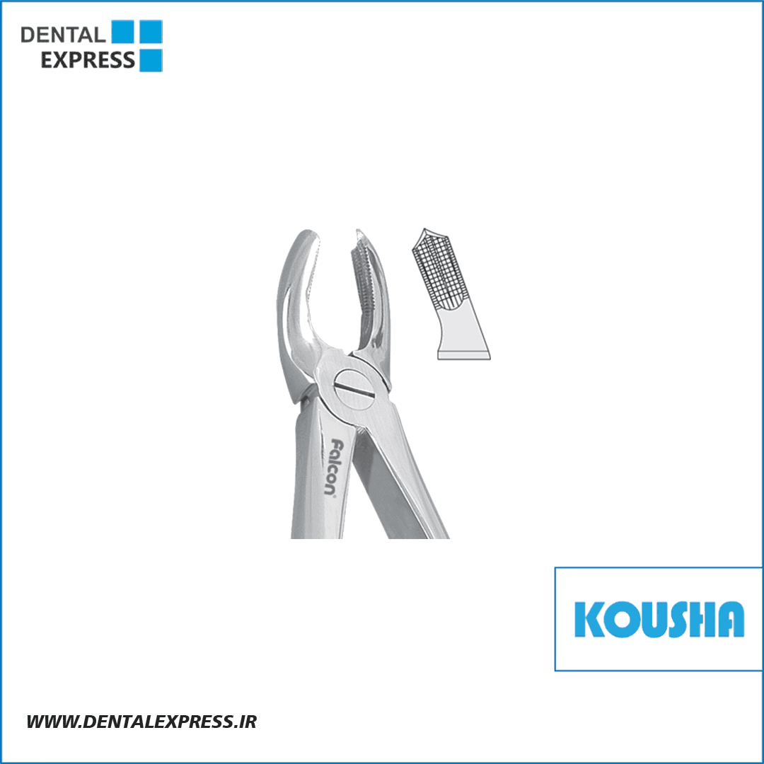 مولر بالا راست fig:١٧ کوشا – Kousha