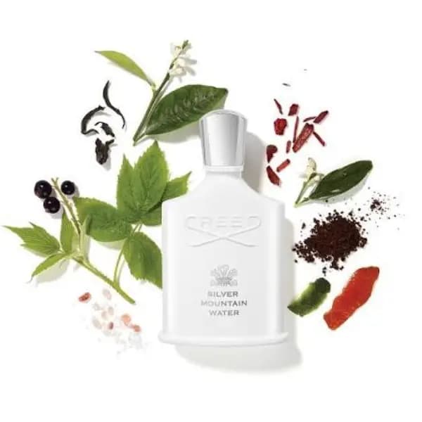 عطر یونیسکس سیلور مانتین واتر کرید ادو پرفیوم Creed Silver Mountain Water Eau de Parfum — تصویر ۳