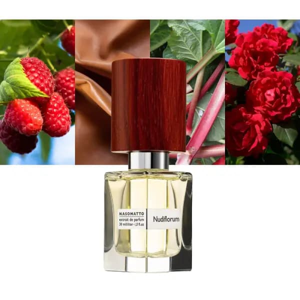 عطر یونیسکس ناسوماتو نودیفلوروم Nasomatto Nudiflorum — تصویر ۵