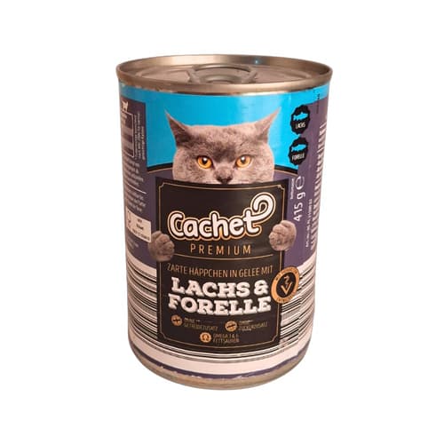 کنسرو گربه بالغ کچت ماهی سالمون و قزلآلا در ژل Cachet وزن 400 گرم