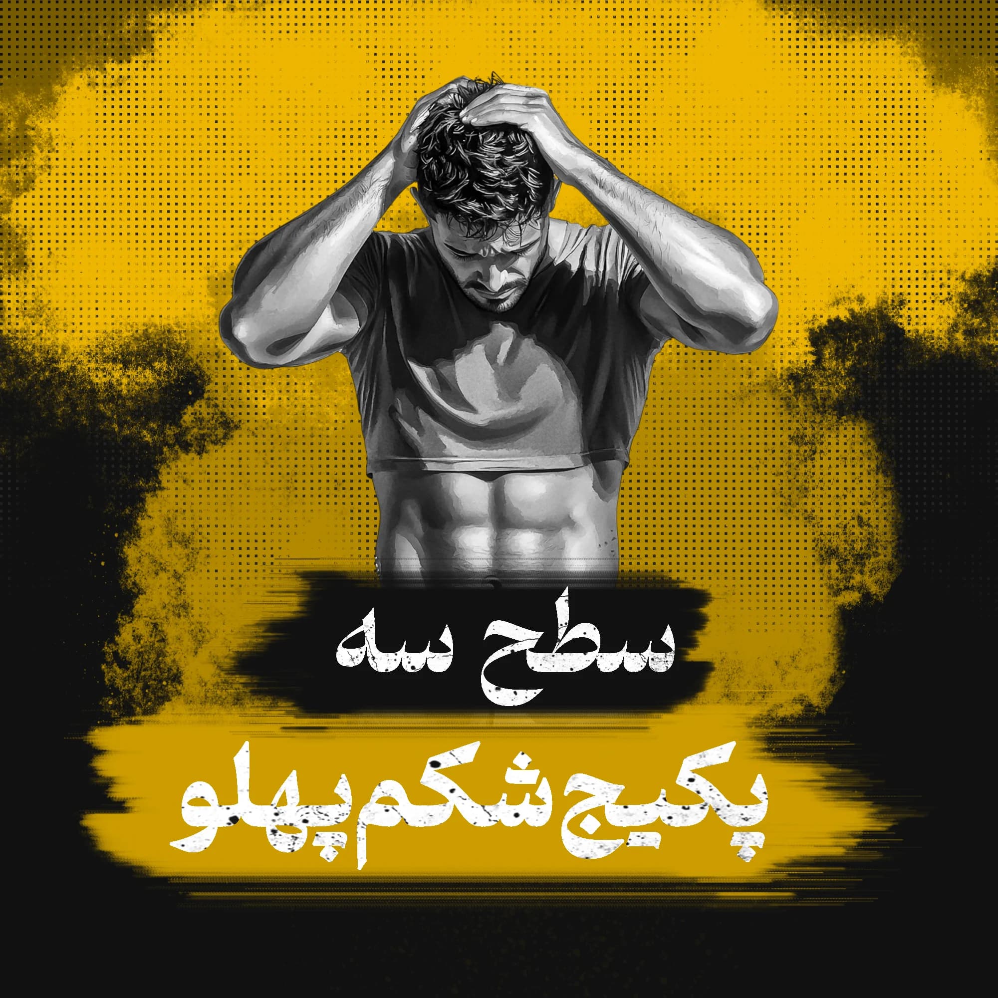 برنامه تمرینات شکم پهلو سطح سه (حرفه ای)