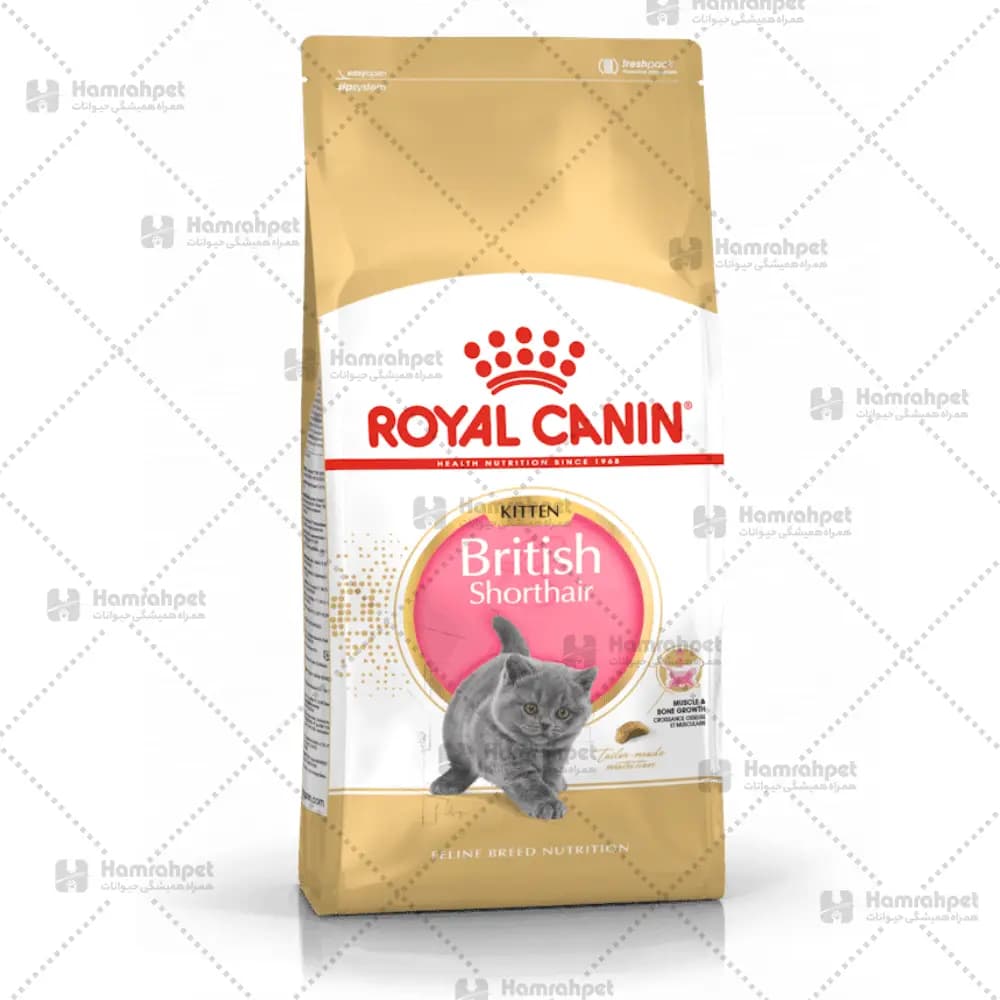غذای خشک بچه گربه مو کوتاه نژاد بریتیش رویال کنین Royal Canin Kitten British Shorthair وزن ۲ کیلوگرم — تصویر ۲