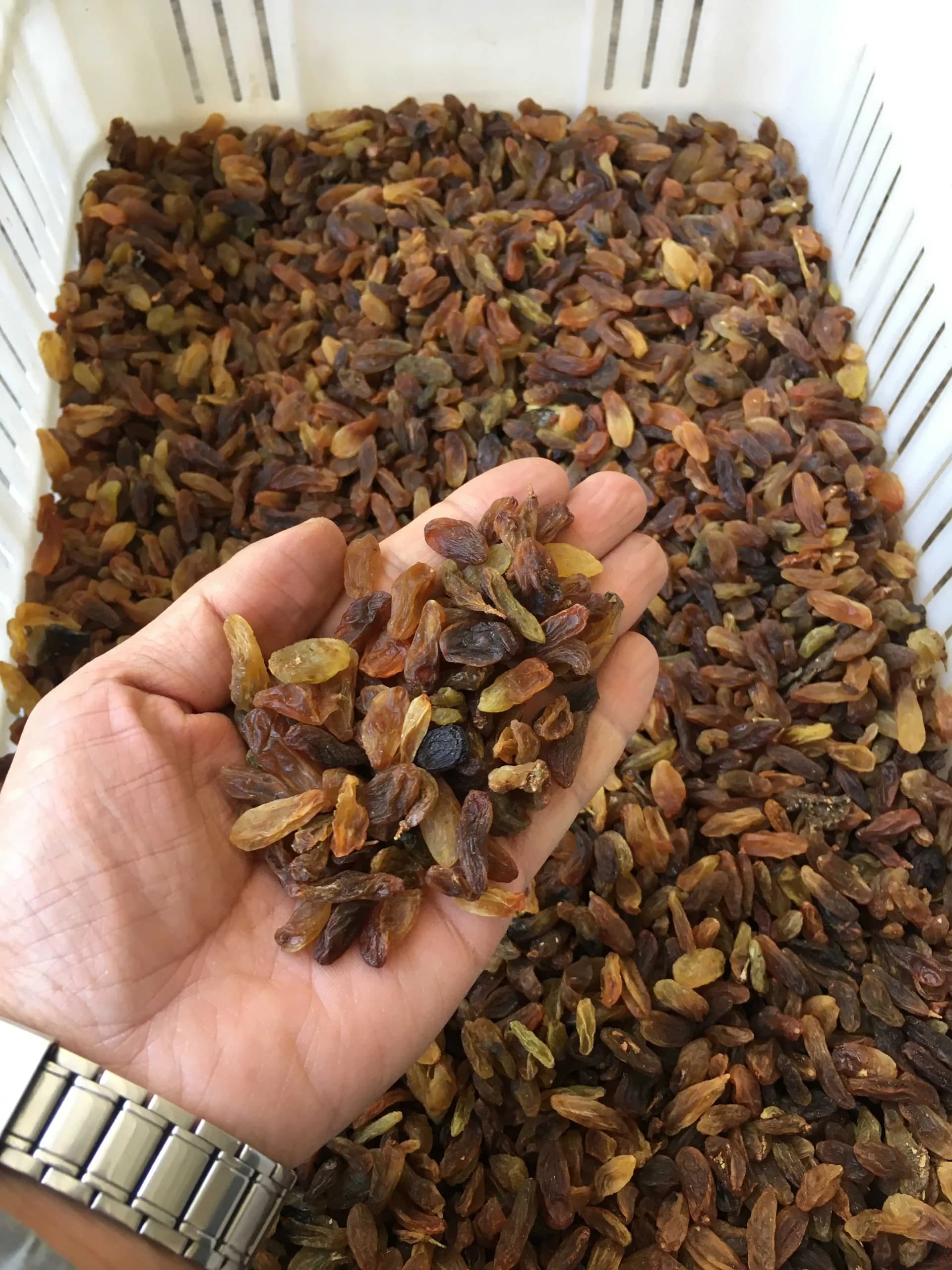 کشمش مخلوط آفتابی گوگردی(کد101)