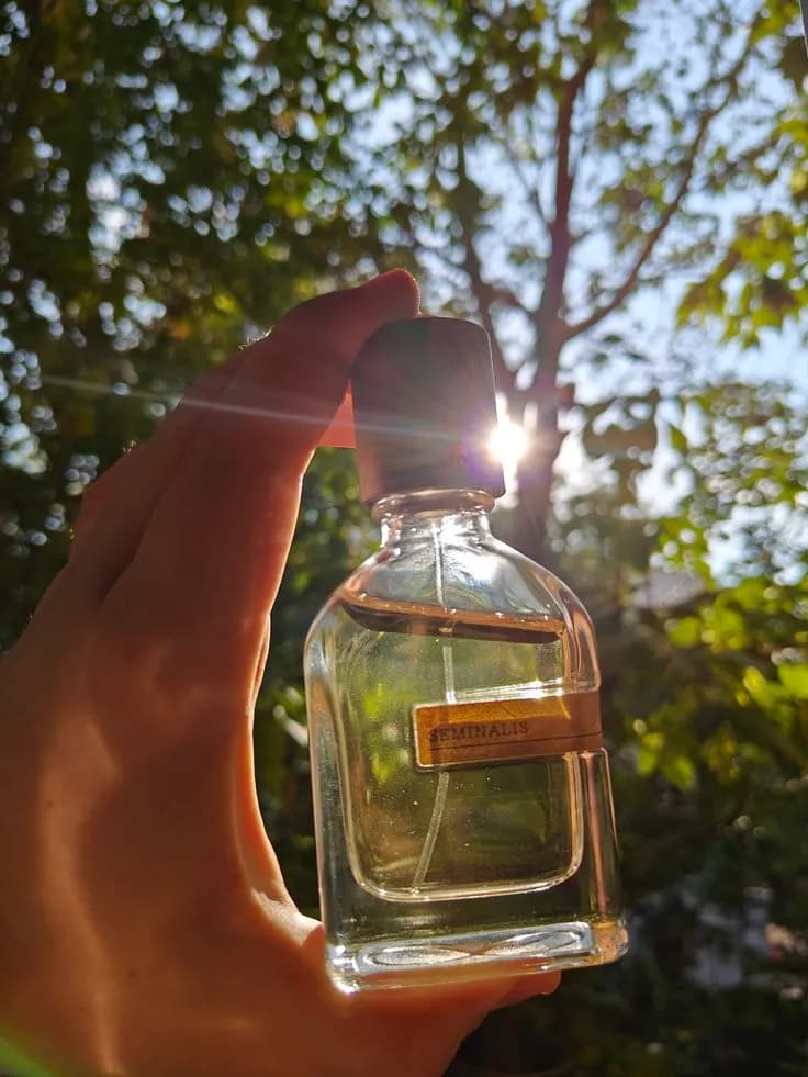 عطر ادکلن اورتو پاریسی سمینالیس اصل — تصویر ۲