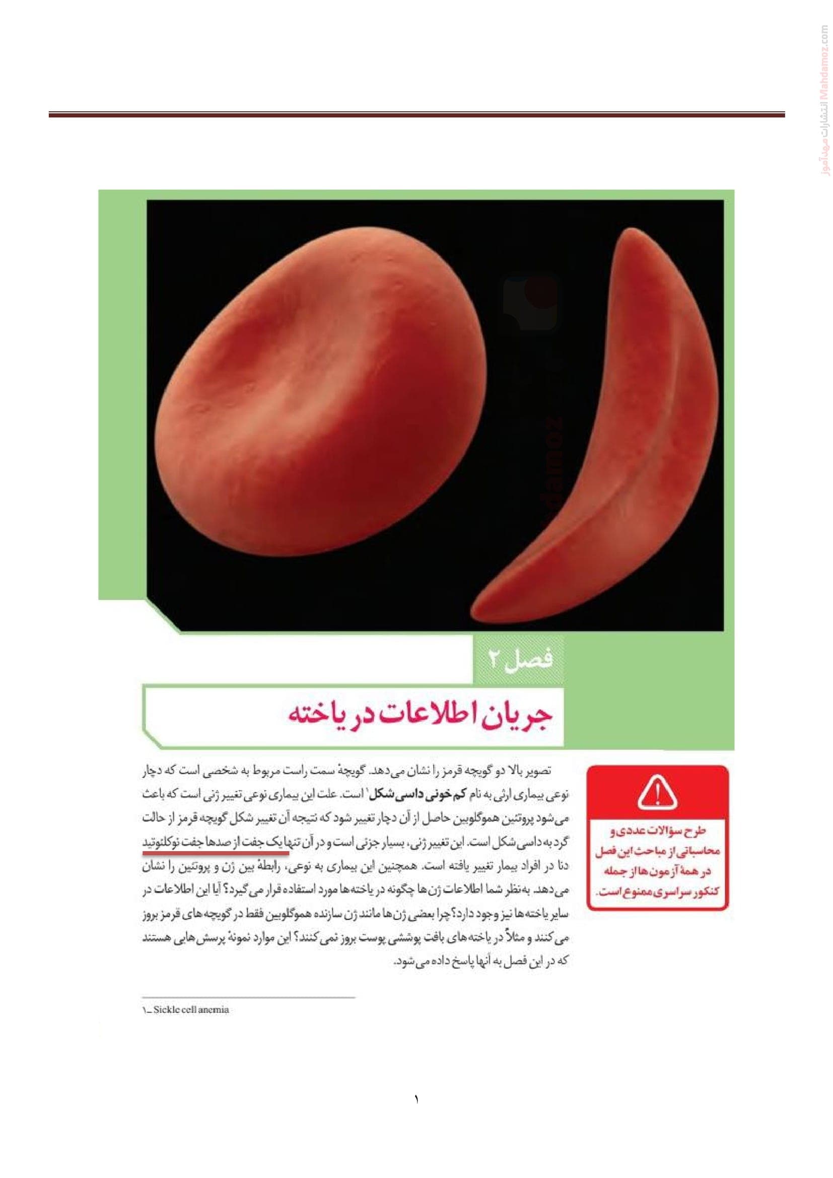 خلاصه درس فصل 2 گفتار 1 زیست شناسی سال دوازدهم