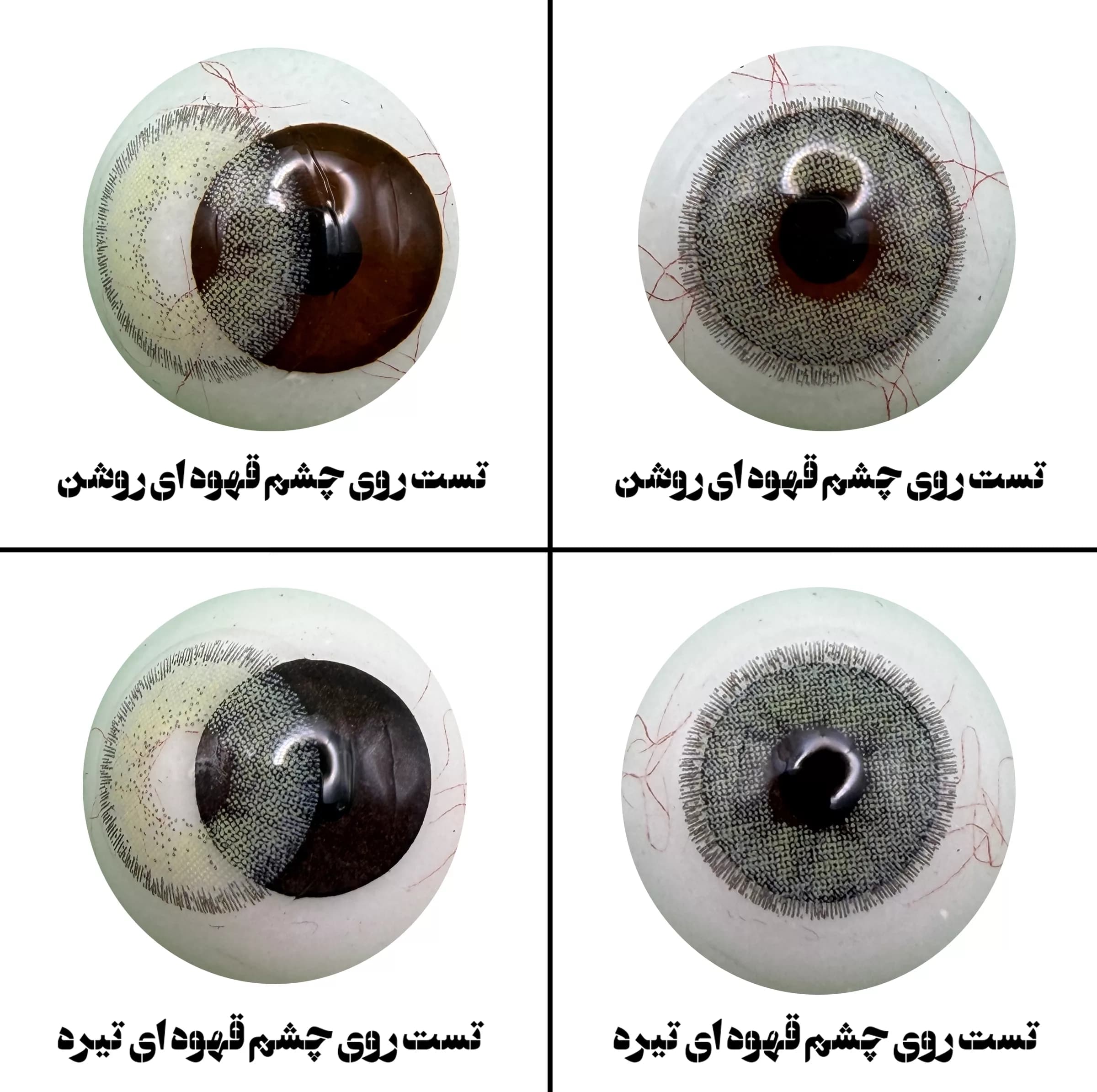 لنز چشم هرا مدل 12 فصلی کد SDA310 رنگ سبز عسلی دور دار — تصویر ۳