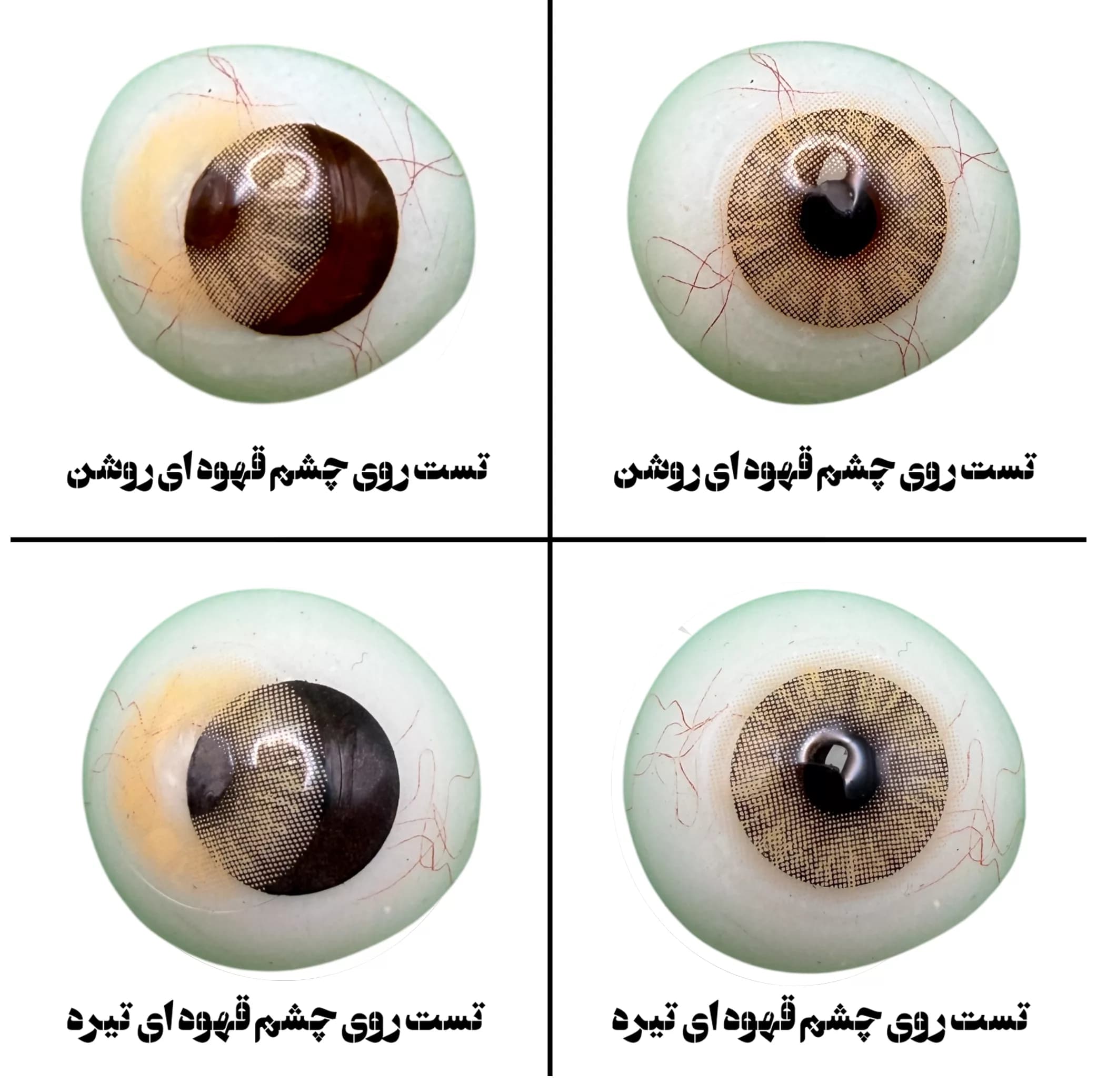 لنز چشم بیوتی کاسمتیک کانتکت لنز تیدا مدل 26 کد AQXA220 رنگ عسلی بدون دور — تصویر ۵