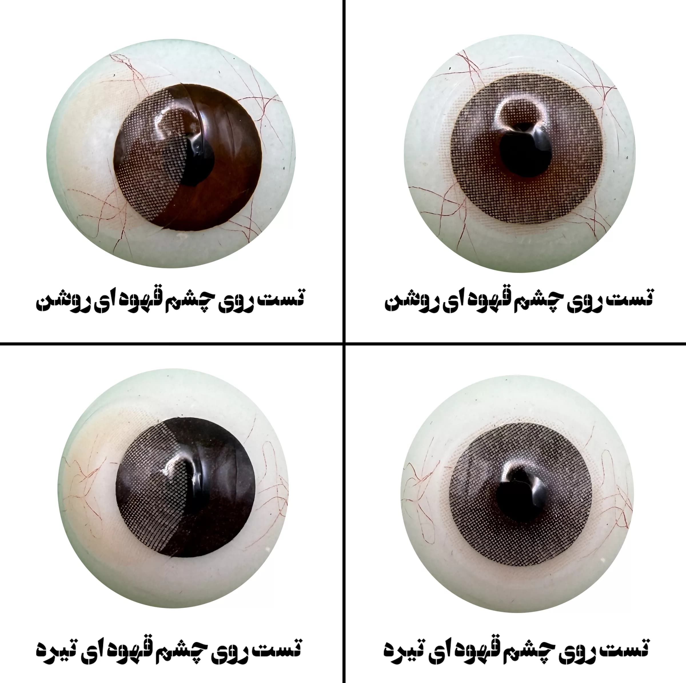 لنز چشم هرا مدل 14 فصلی کد SBA120 رنگ عسلی روشن بدون دور — تصویر ۳