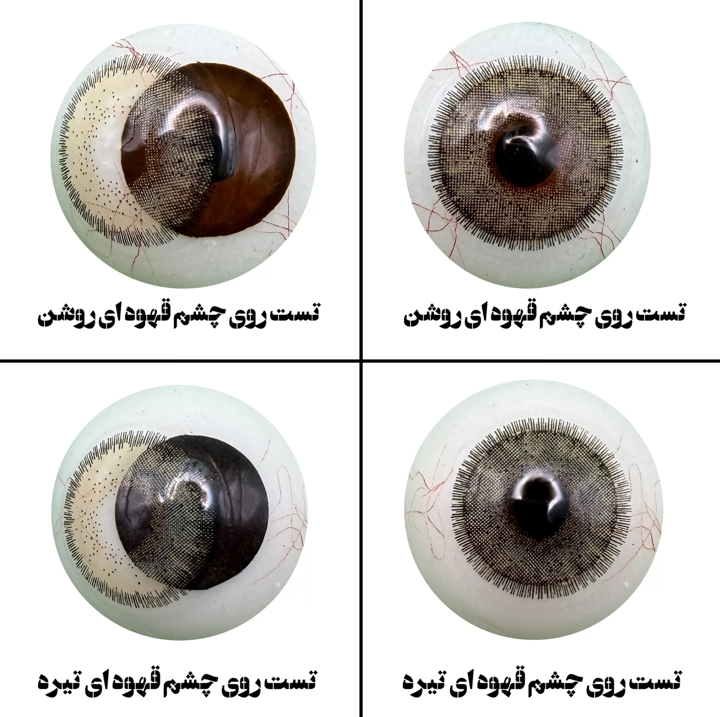 لنز چشم رویال ویژن مدل LA HAZEL کد 12 رنگ سبزعسلی طبیعی دوردار — تصویر ۳