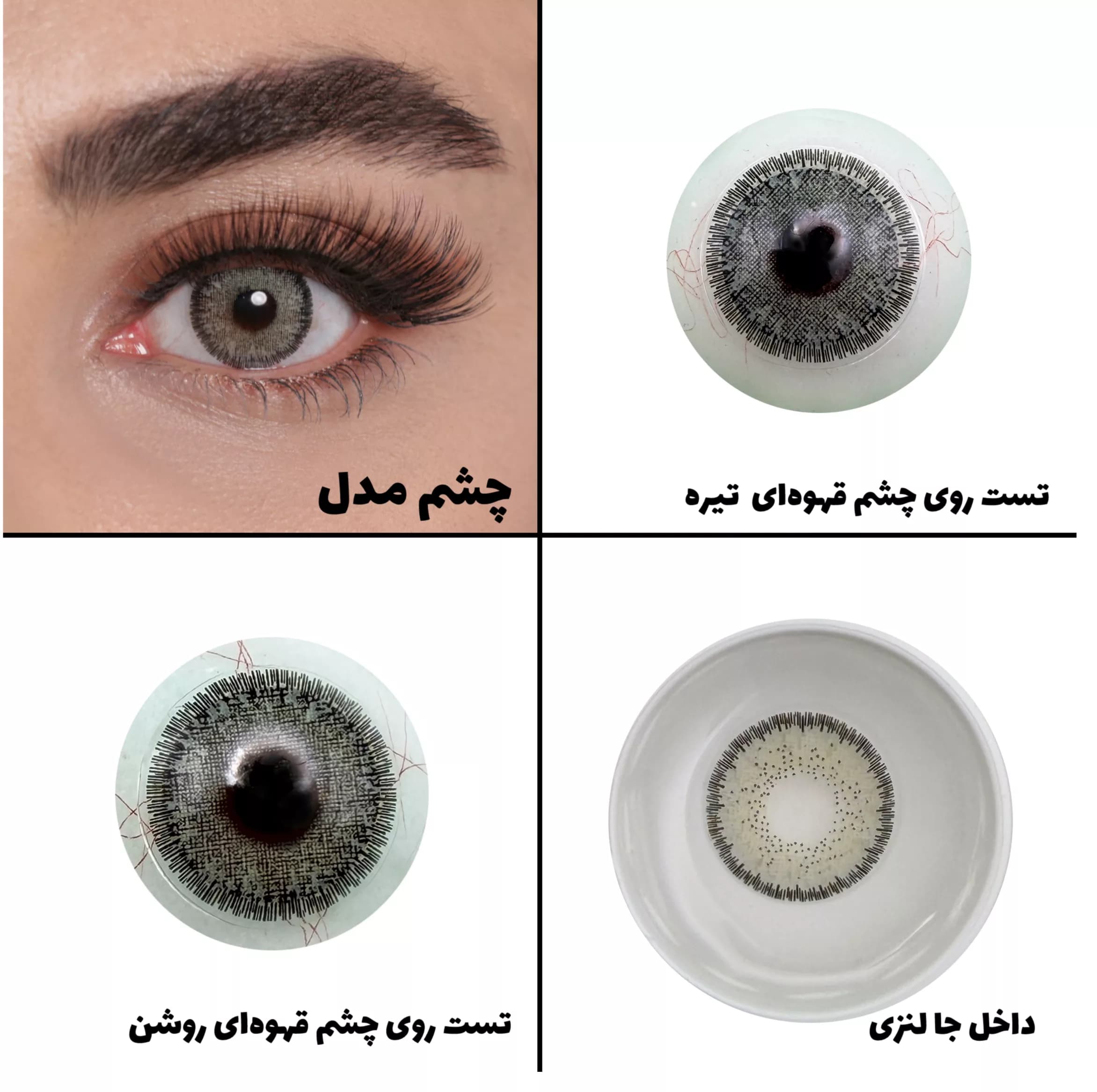 لنز چشم رویال ویژن مدل LUMIRERE GRAY کد 05 رنگ طوسی سبز دوردار — تصویر ۶