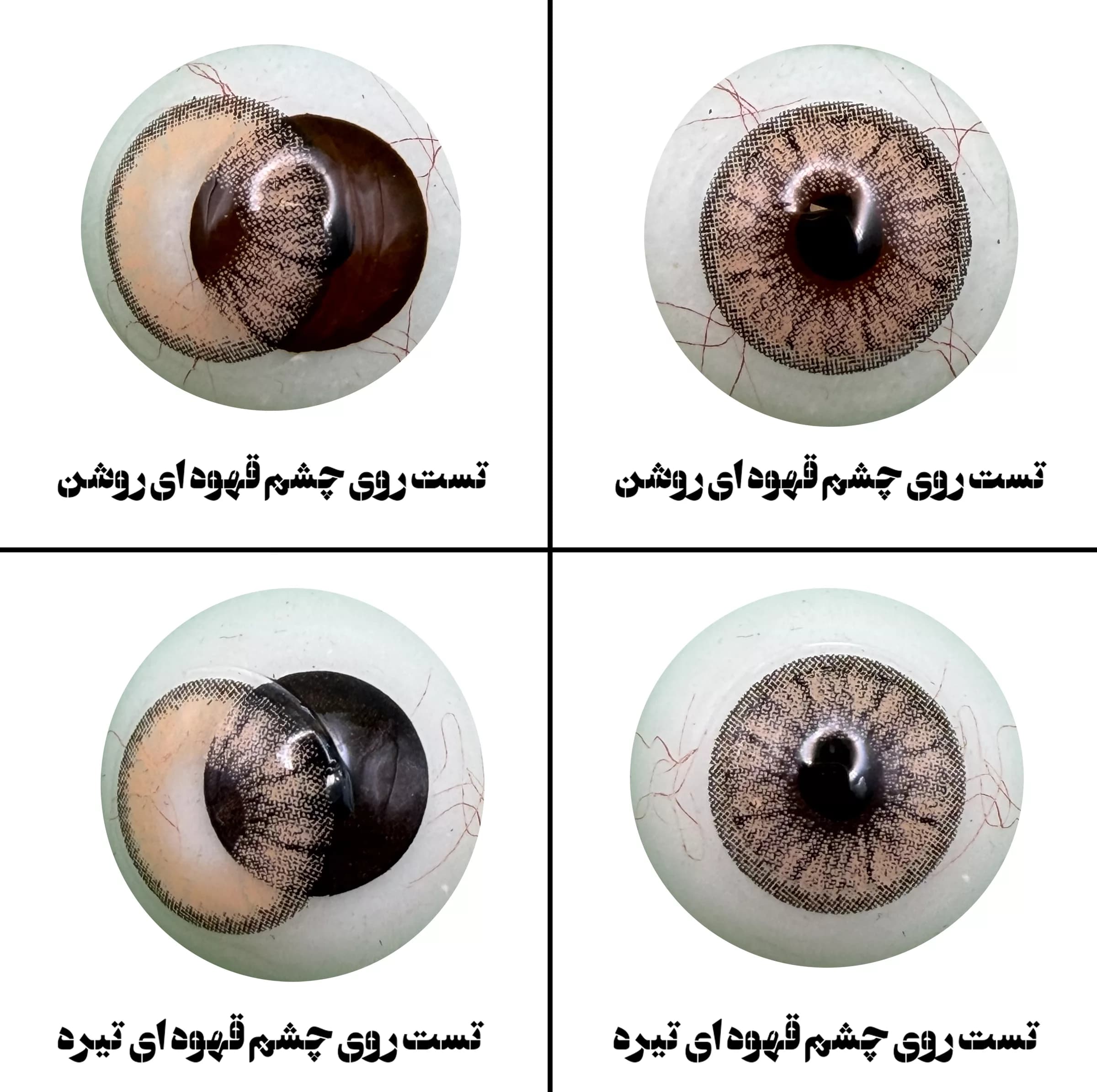 لنز چشم رویال ویژن مدل CAPPUCCINO کد 16 رنگ عسلی کاراملی دوردار — تصویر ۶