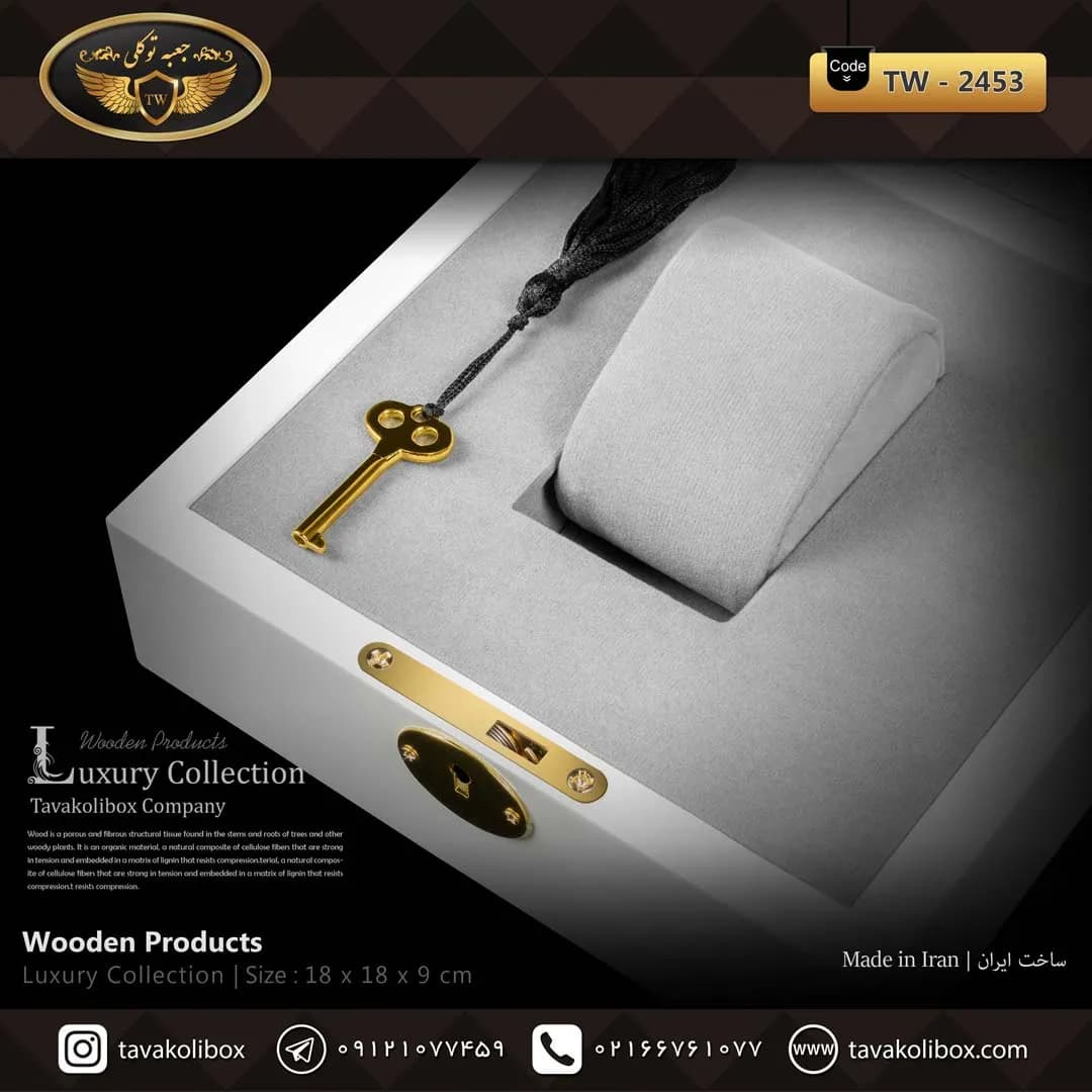جعبه ساعت 1 خونه لوکس شیشه ذره بینی بالشتک لوکس کلیددار رنگ سفید مدل : TW-2453 — تصویر ۳
