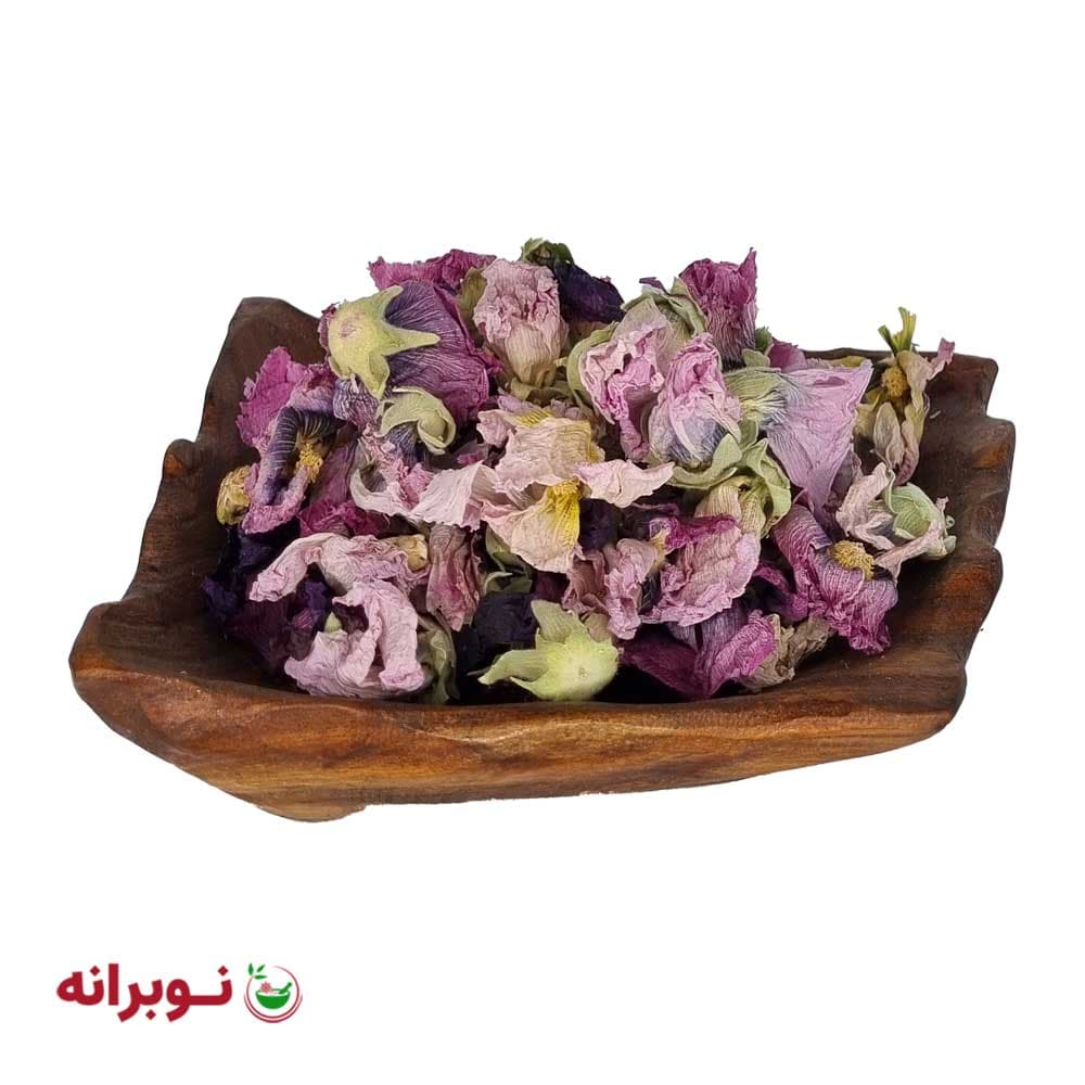 گل ختمی رنگی — تصویر ۵