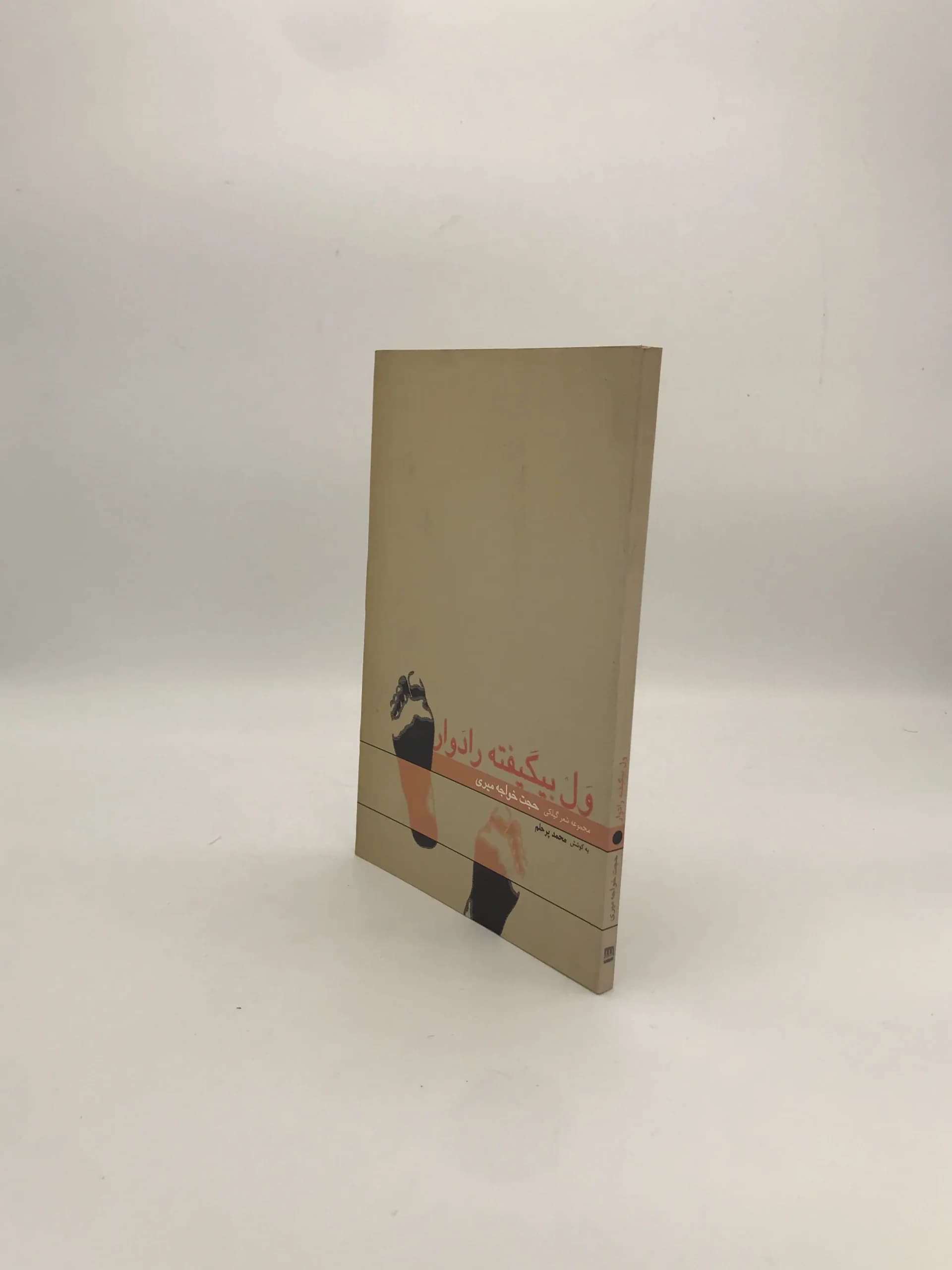 ول بیگیفته رادوار — تصویر ۳