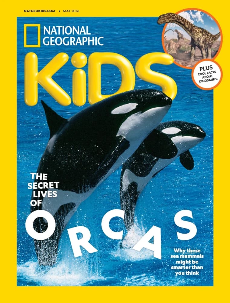 کتاب National Geographic Kids USA May 2026 (نشنال جئوگرافیک کودکان آمریکا مه 2026) نسخه انگلیسی PDF | نامشخص