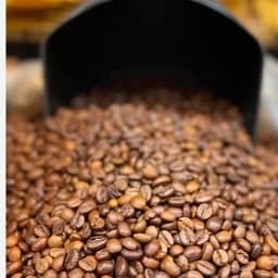 قهوه اسپرسو 100% روبوستا 1000 گرم — تصویر ۶