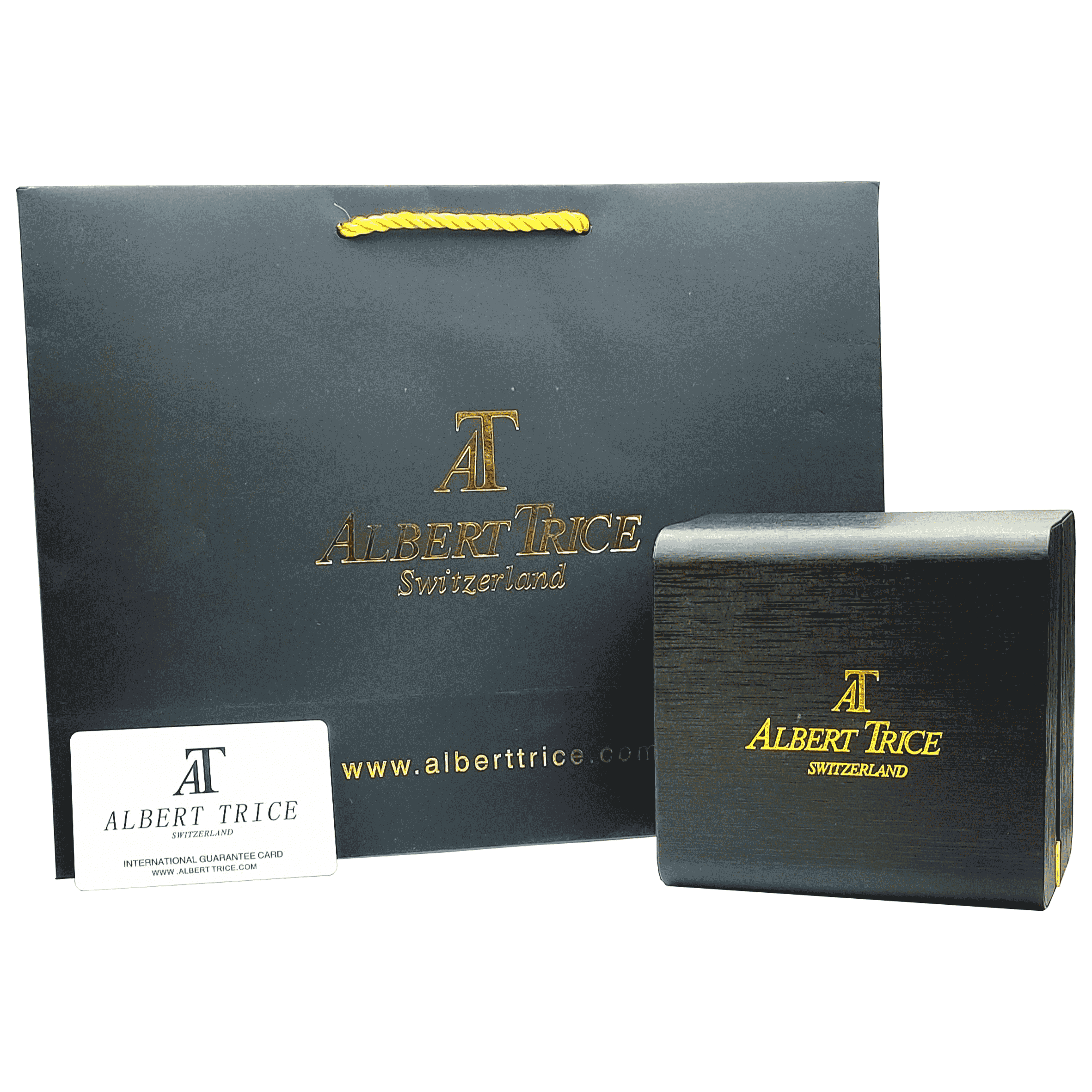 ساعت مچی مردانه چرمی آلبرت ترایس مدل Albert Trice AT20286-01 — تصویر ۲