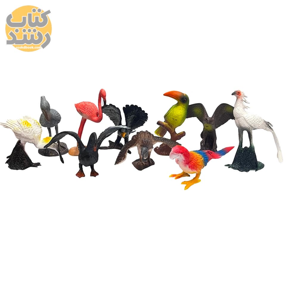 اسباب بازی باغ وحش پرندگان 10 عددی (متوسط)