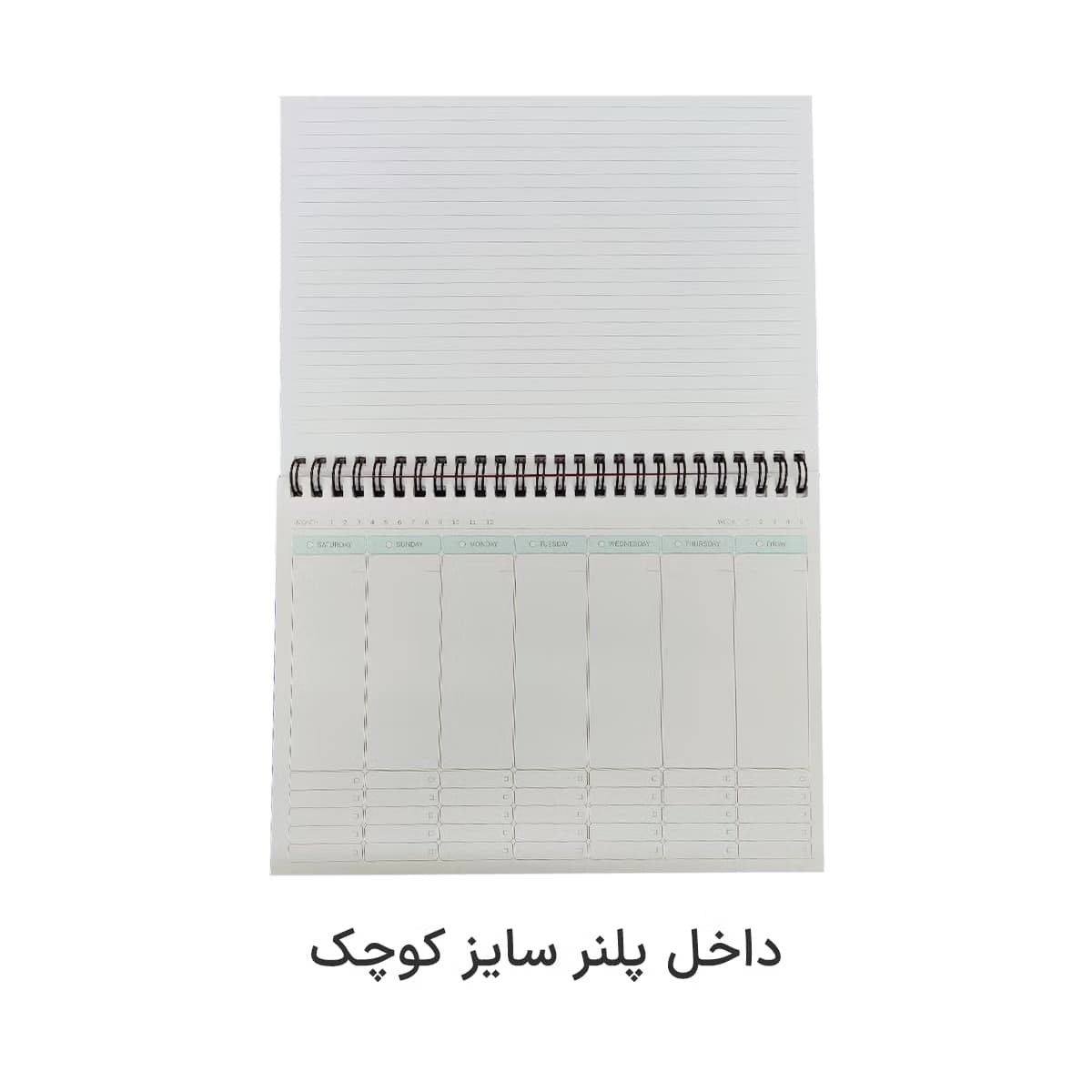پلنر هفتگی همیشه – سایز کوچک و بزرگ — تصویر ۳