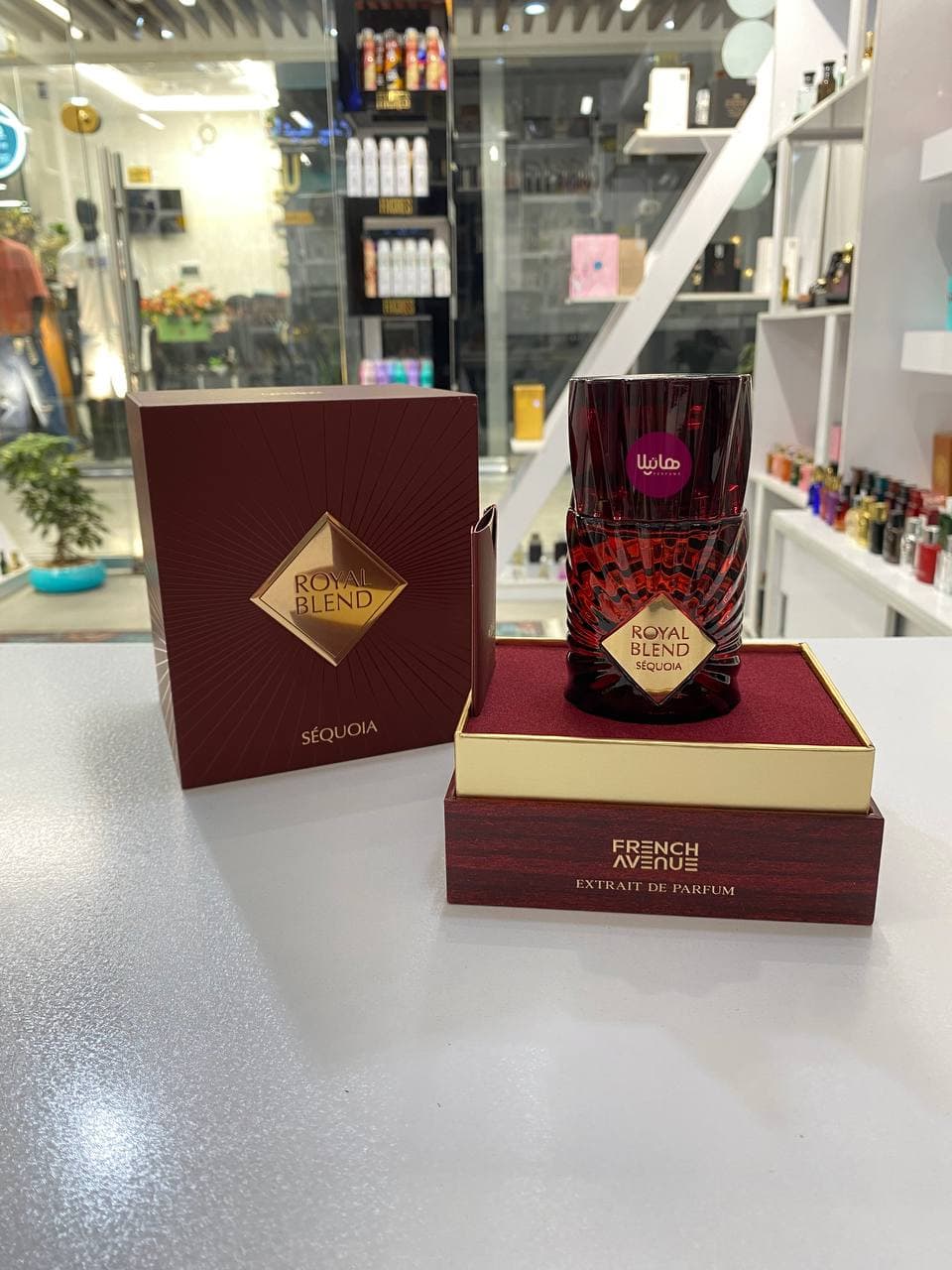عطر و ادکلن فرنچ اونیو رویال بلند سکویا (آنجلزشیر پارادایس) — تصویر ۵