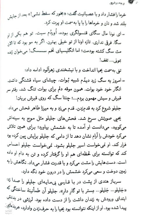 نی مه در شرجی — تصویر ۶