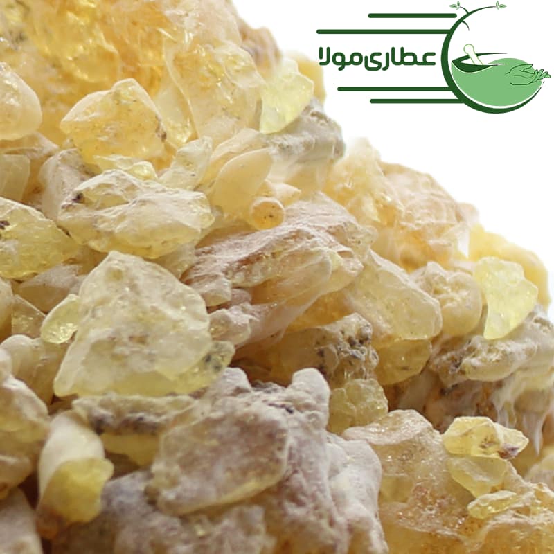 سندروس — تصویر ۲