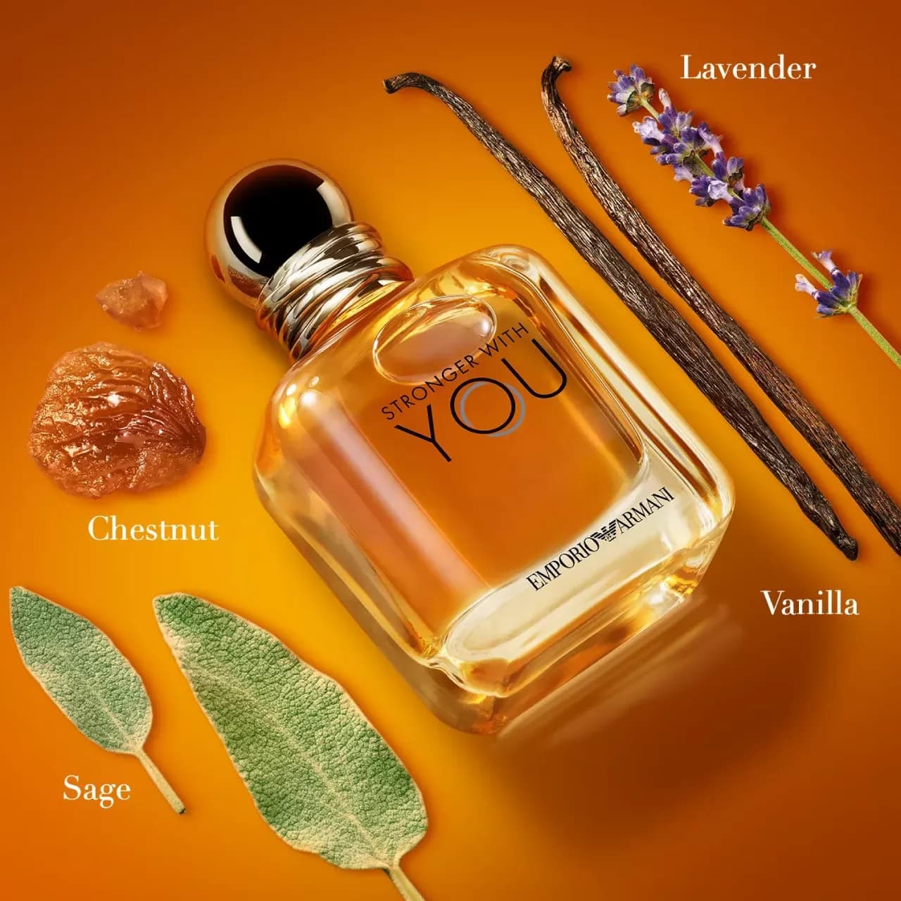 عطر جورجیو آرمانی استرانگر ویت یو ( ادو تویلت ) | Giorgio Armani Stronger With You — تصویر ۴