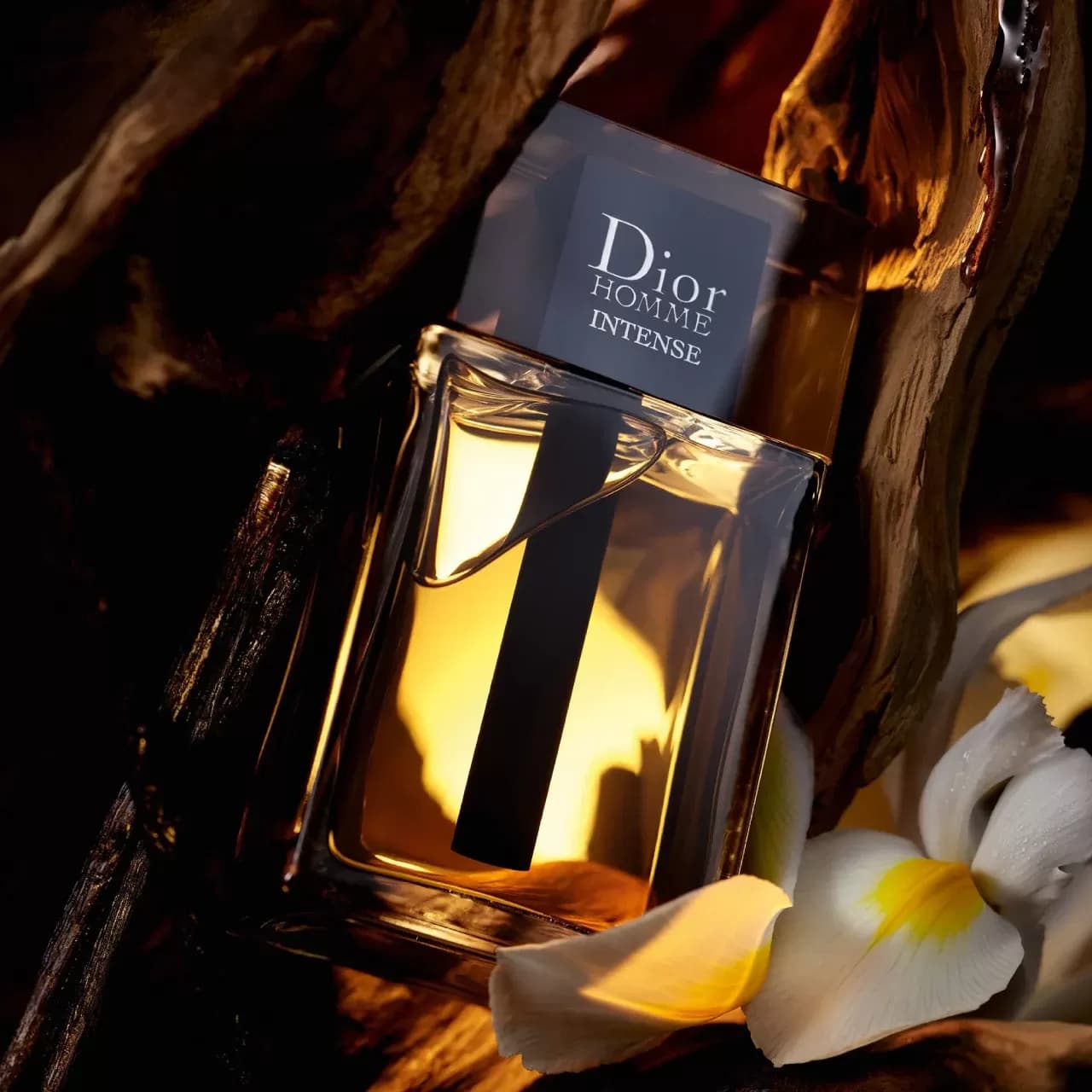 عطر دیور هوم اینتنس 2025 | Dior Homme Intense 2025 — تصویر ۴