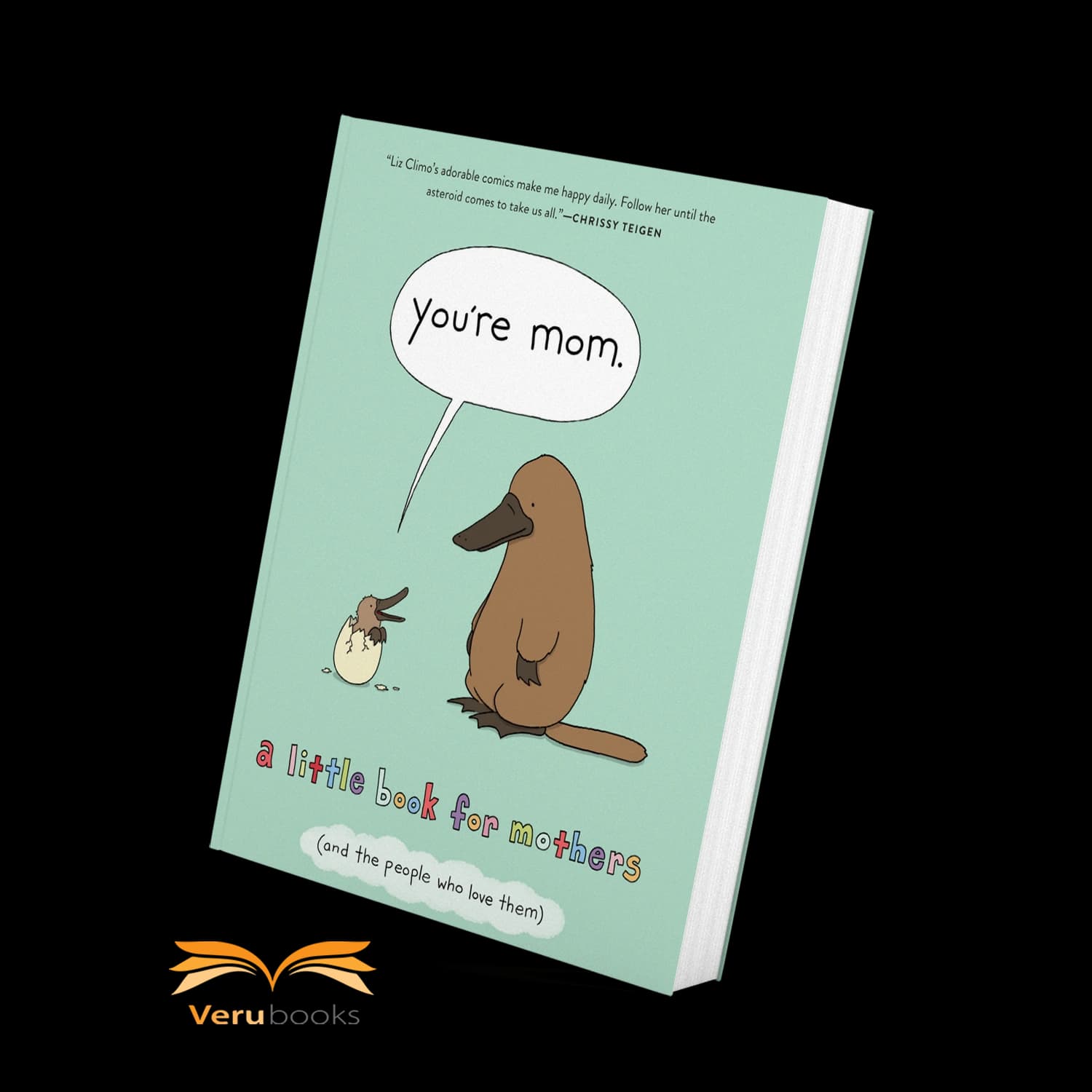 رمان انگلیسی You’re Mom
