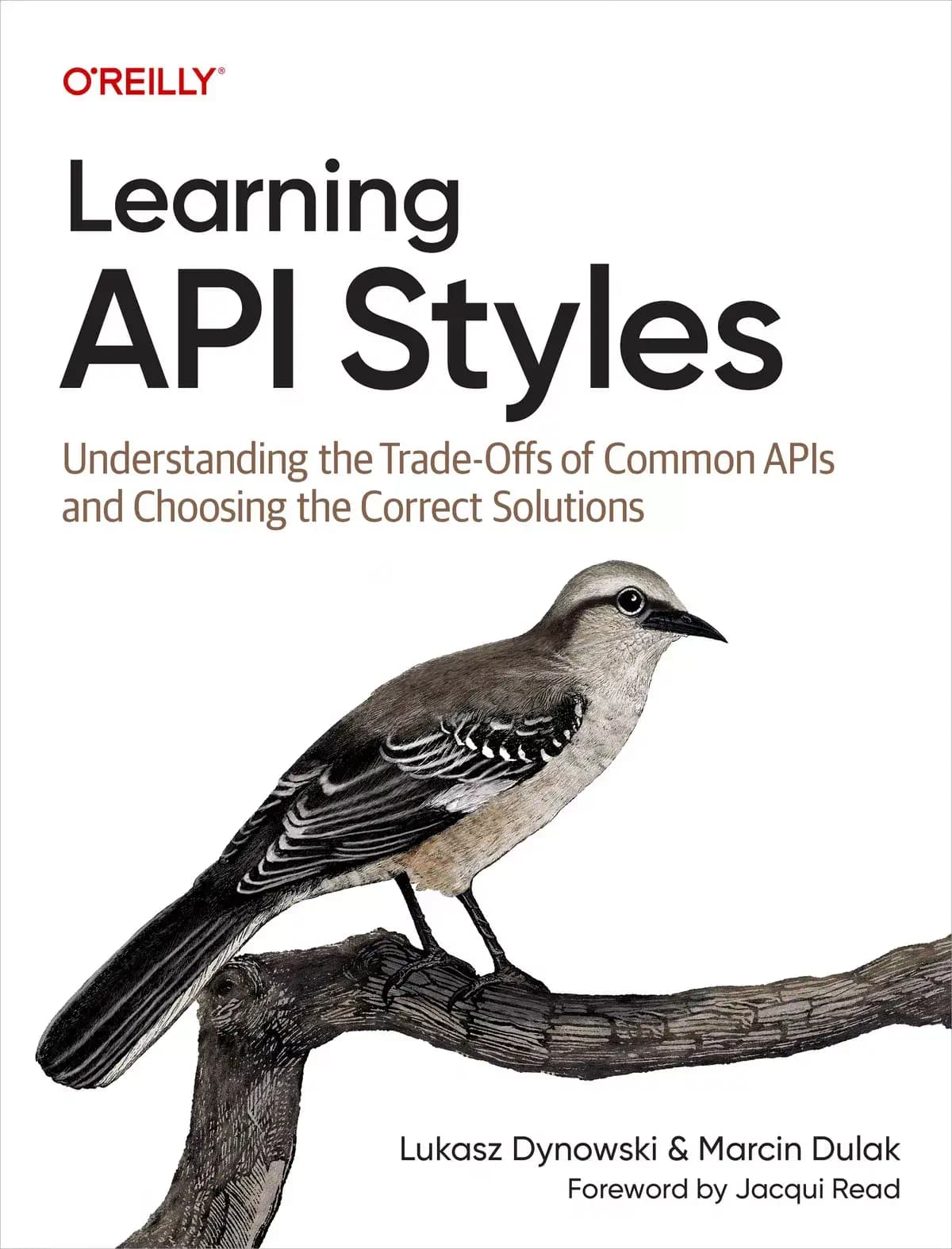 کتاب Learning API Styles