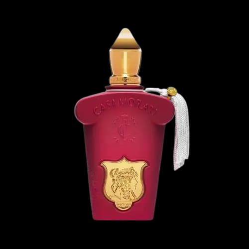 عطر و ادکلن زرجوف (زرژوف) کازاموراتی ایتالیکا هاردباکس اماراتی ادو پرفیوم 100 میلی لیتر | Emarati Perfume Xerjoff Casamorati Italica 100ml EDP — تصویر ۲