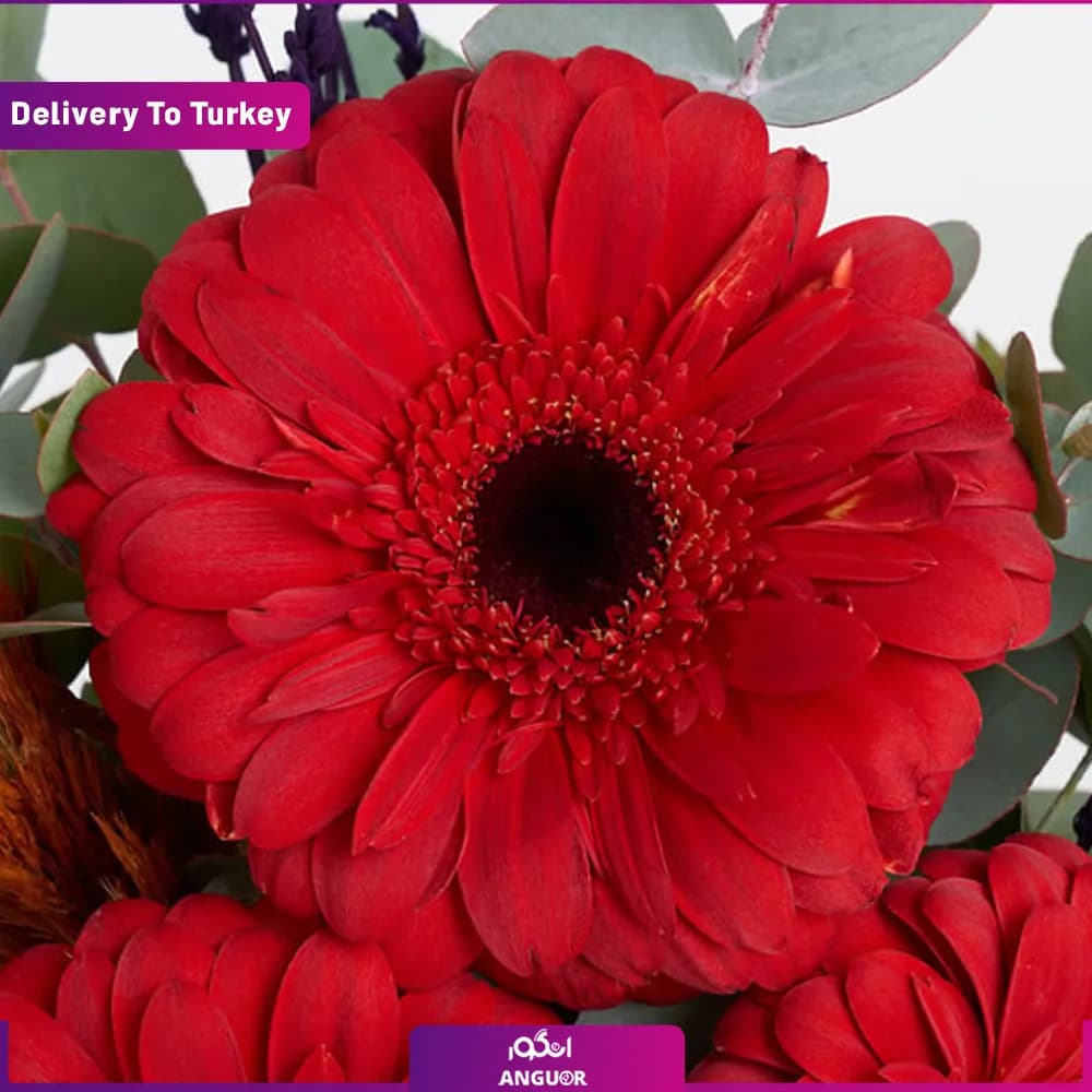 دسته گل ژربرا قرمز (ارسال گل به ترکیه) — تصویر ۴