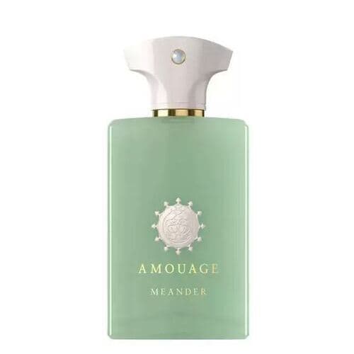 عطر ادکلن آمواج میندر آمواژ | AMOUAGE / AMOUAGE MEANDER 100ML EDP — تصویر ۲