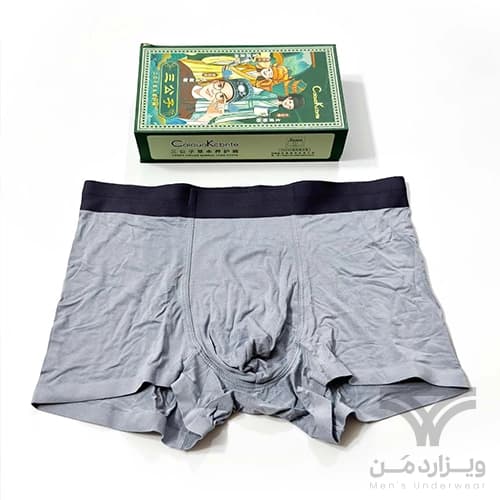 پک 3 تایی شورت رویال مردانه پادار (باکسر بریف) اورجینال وارداتی برند Caiouo Kcbnte هارد باکس مگنتی — تصویر ۳