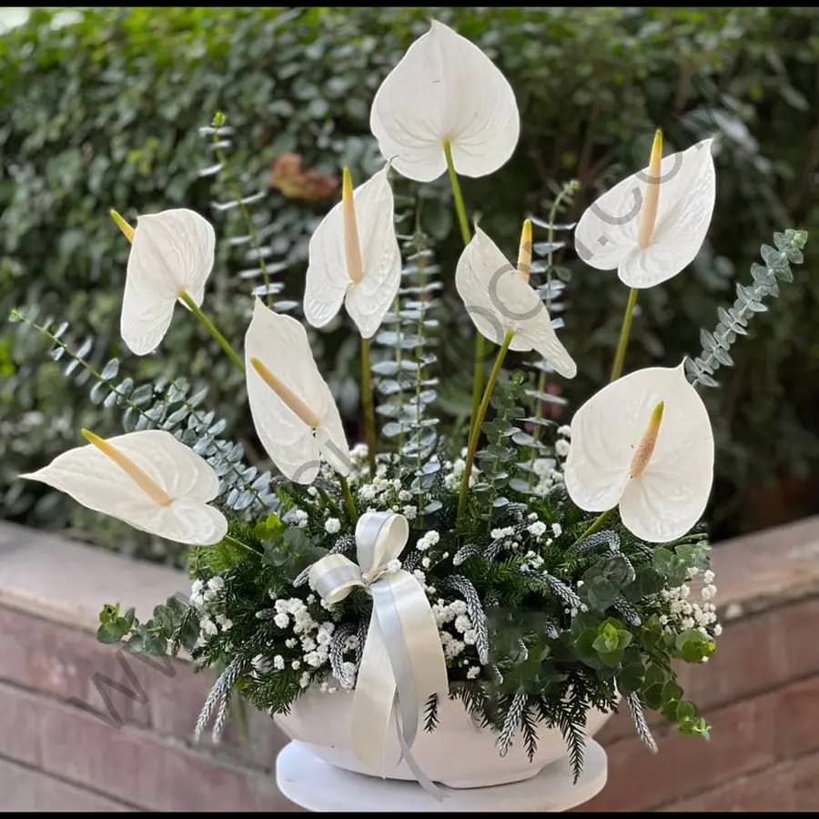 باکس گل ماری — تصویر ۲