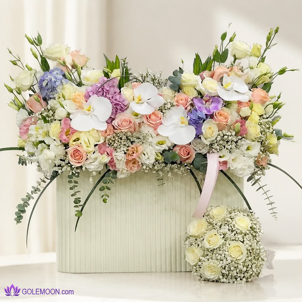 باکس گل حلما