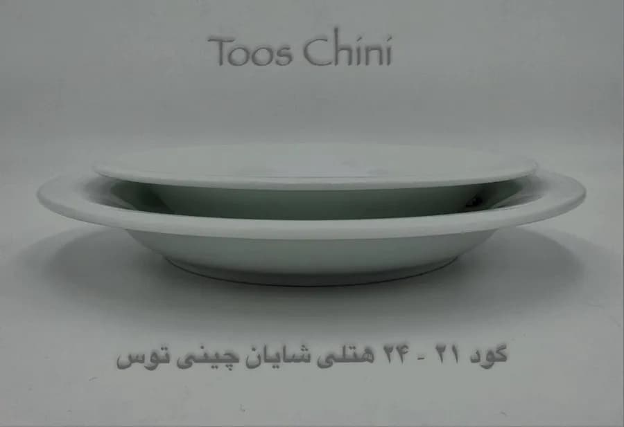 چینی هتلی توس بشقاب گود 21 و 24 شایان — تصویر ۲