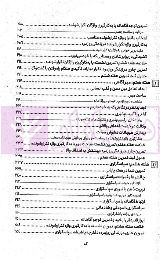 وکیل مضطرب | دکتر صغیری — تصویر ۶