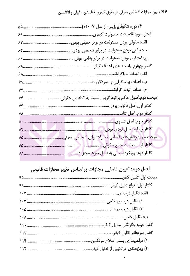 تعیین مجازات اشخاص حقوقی در حقوق کیفری (افغانستان، ایران و انگلستان) | دکتر حبیبی — تصویر ۳