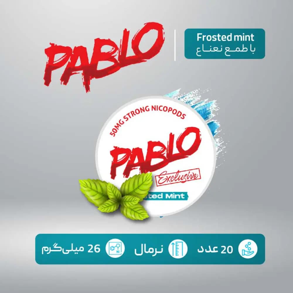 کیسه نیکوتین پابلو نعناع یخی با دوز 30 میلی گرم در هر کیسه — تصویر ۲