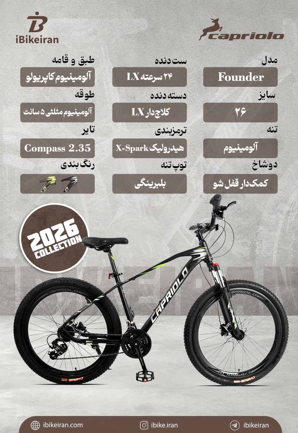 دوچرخه کاپریولو مدل فاندر سایز 26 (Capriolo Founder) — تصویر ۴