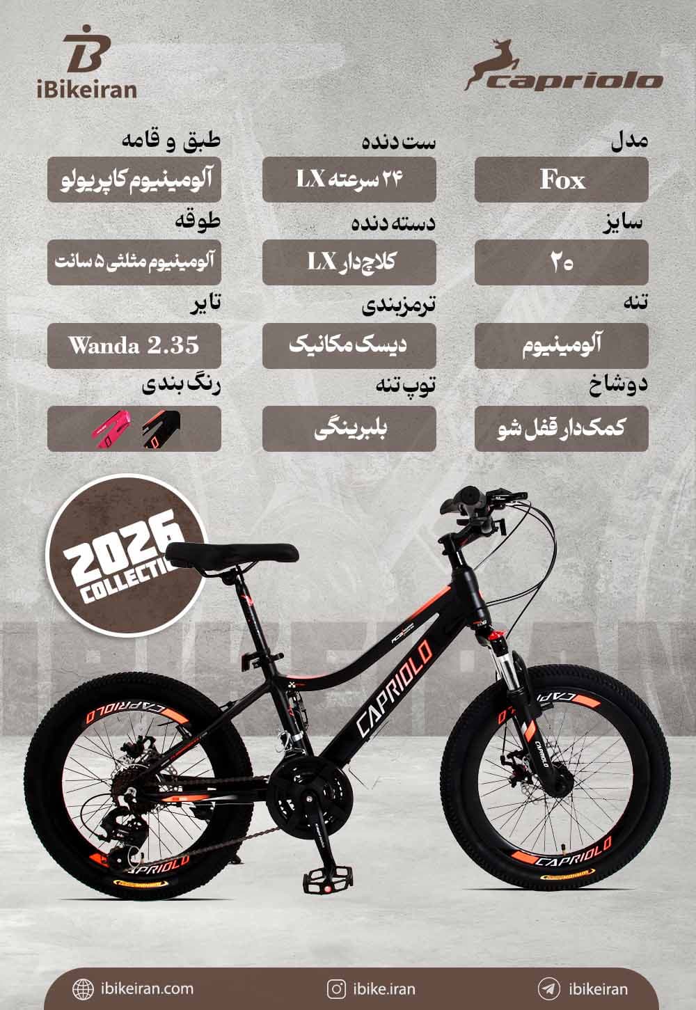 دوچرخه کاپریولو مدل فاکس سایز 20 (Capriolo Fox) — تصویر ۴