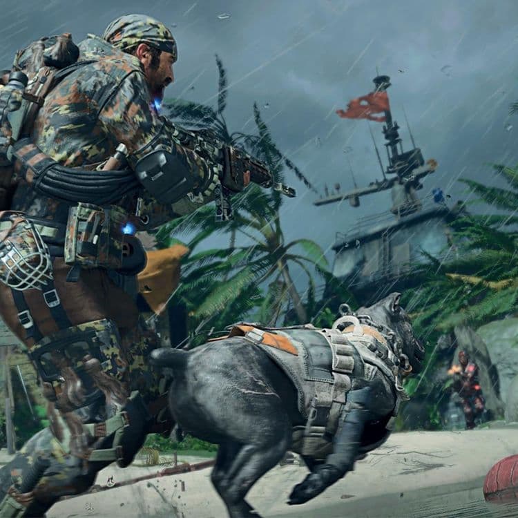بازی پلی استیشن Call Of Duty Black Ops 4 — تصویر ۴