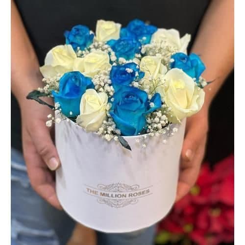 گل فروشی اطراف باشگاه ورزشی و بدنسازی دکتر ورزش محله نصرت تهران t7253