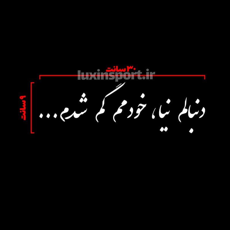 برچسب شیشه خودرو نوشته دنبالم نیا، خودمم گم شدم… رنگ سفید — تصویر ۲
